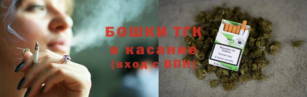 винт Липки