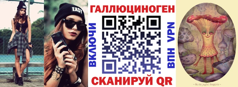 OMG ТОР  Чебаркуль  Псилоцибиновые грибы GOLDEN TEACHER 
