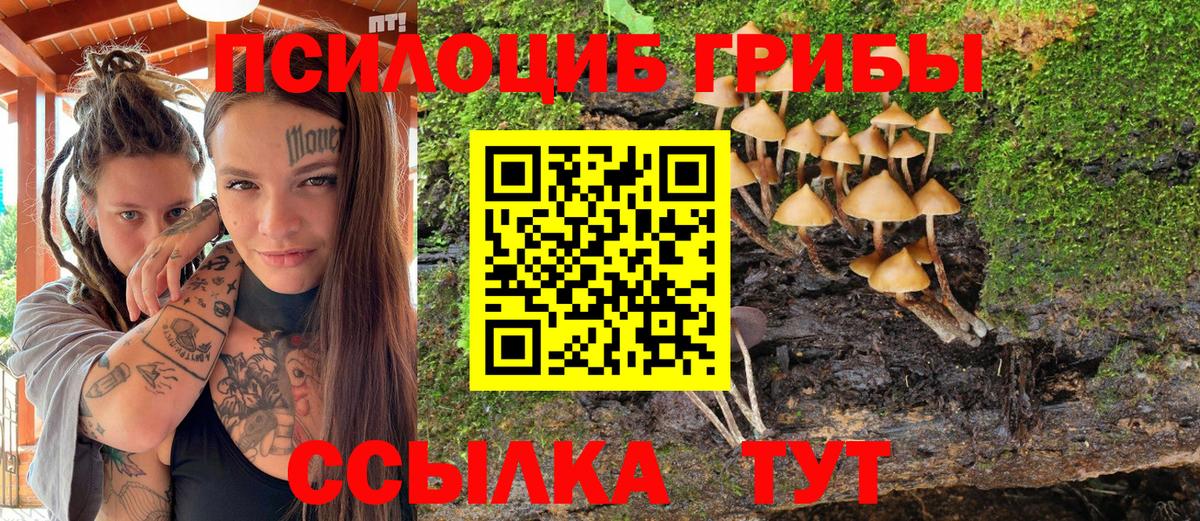 Чебаркуль  Галлюциногенные грибы MAGIC MUSHROOMS  Вход с VPN 